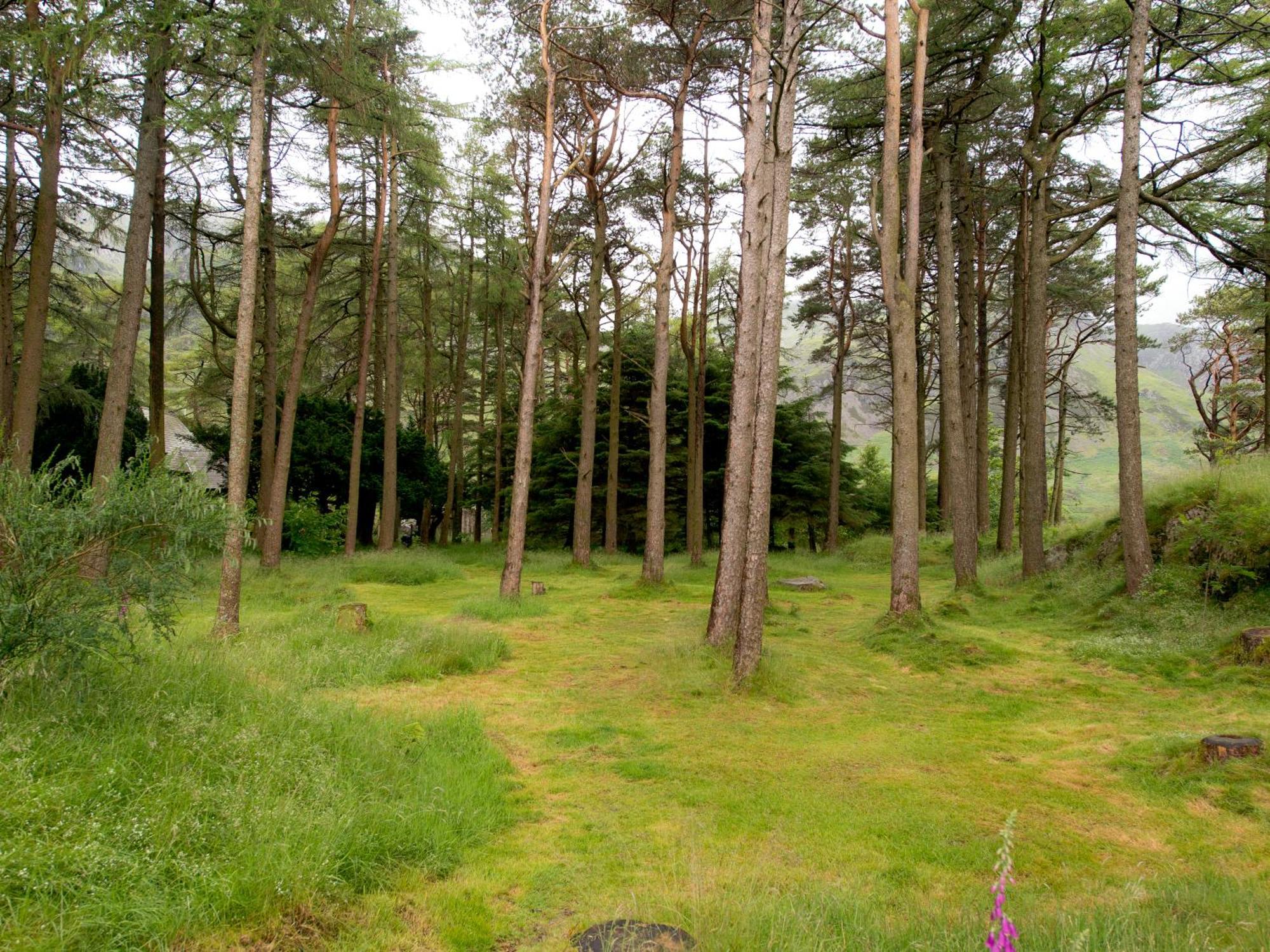 בת'סדה Yha Idwal Cottage מראה חיצוני תמונה